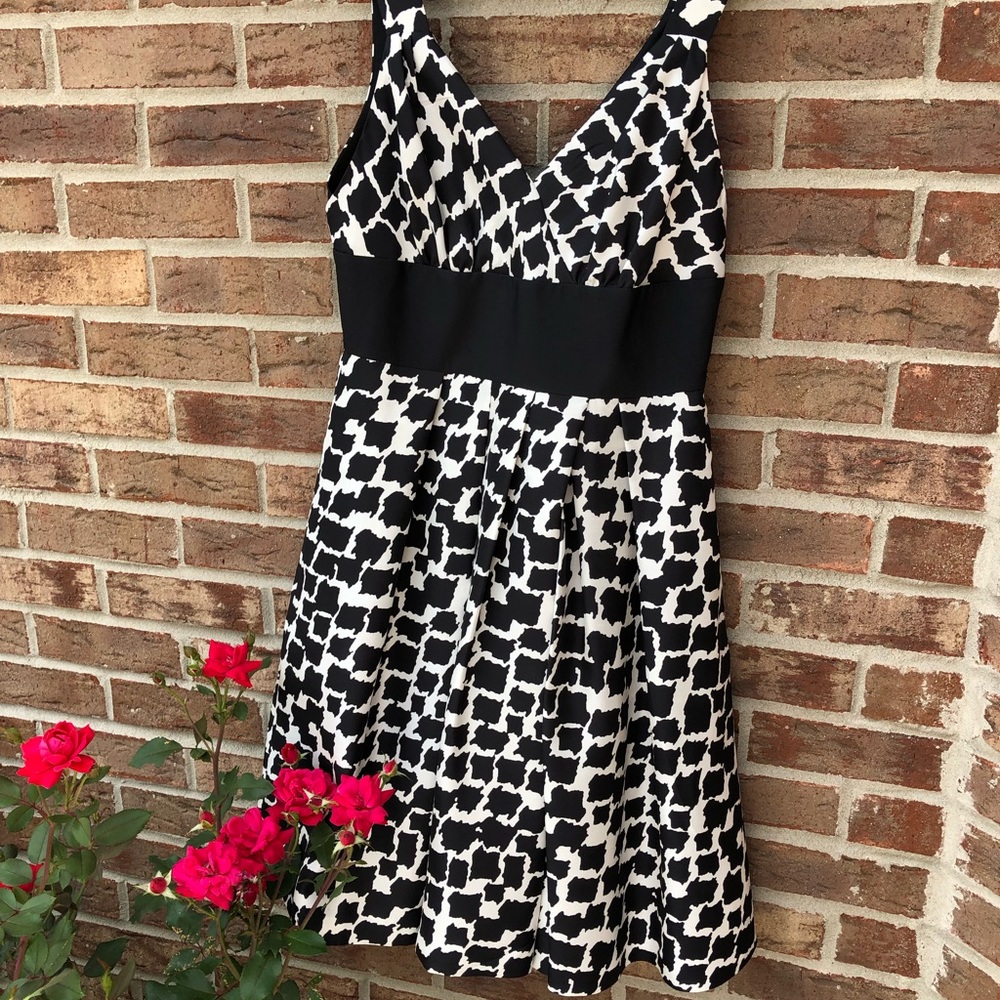 White House Black Market black&white dress size6 - Picture 2 of 3